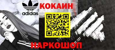 кокс Гатчина