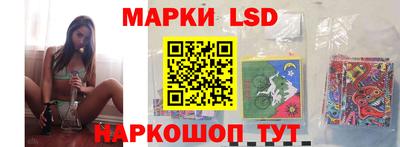 кокс Гатчина