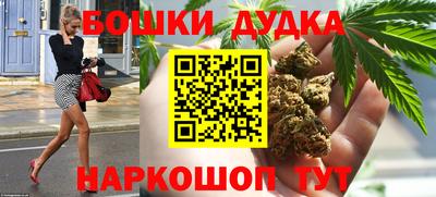 кокс Гатчина