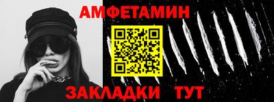 кокс Гатчина
