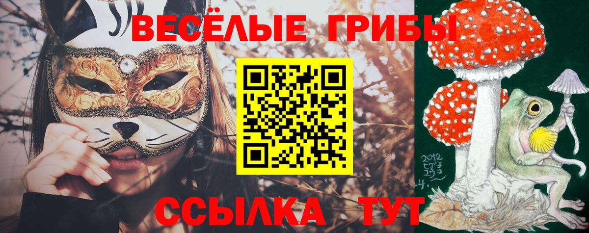 Галлюциногенные грибы GOLDEN TEACHER Волхов