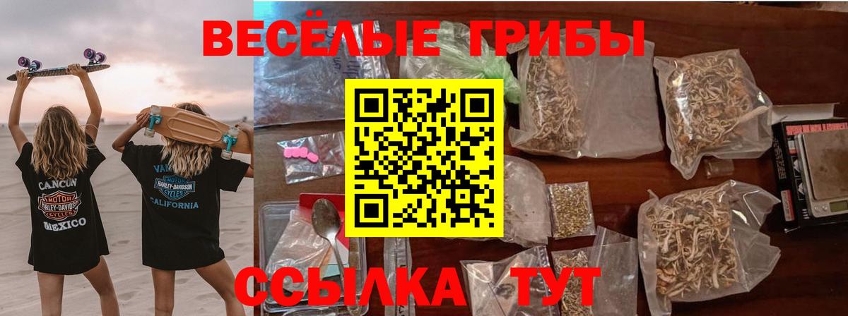 Псилоцибиновые грибы мухоморы  Вход с VPN  Волхов 
