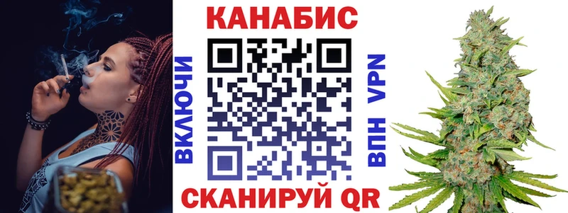 наркота  Волхов  Шишки марихуана Bruce Banner 