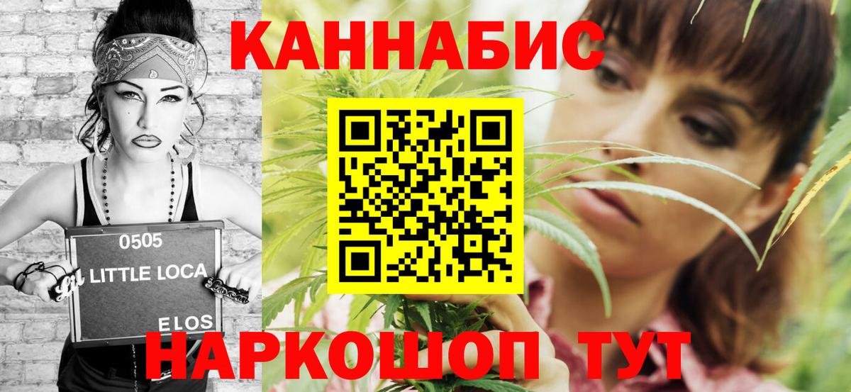 Каннабис конопля Волхов